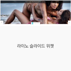 라이노 슬라이드 위젯